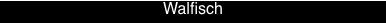 Walfisch