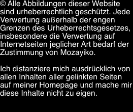  Copyright Mozayiko